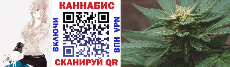 купить   Дубовка  Бошки марихуана SATIVA & INDICA 